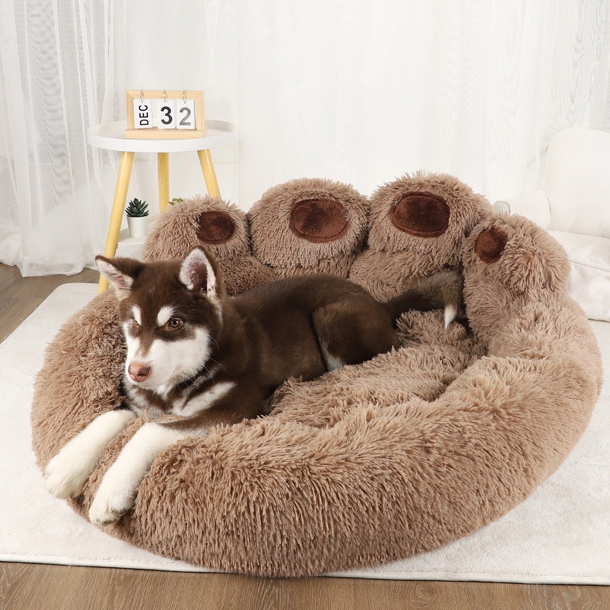 Dog Sofa Beds - Pet Care Linker