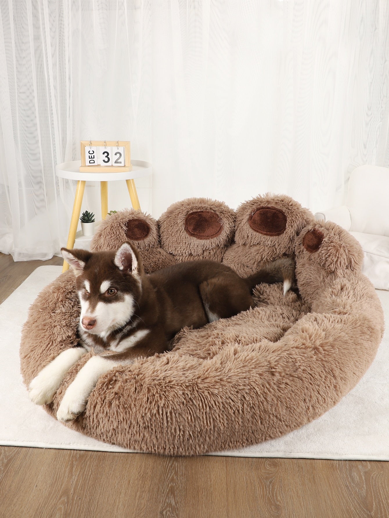 Dog Sofa Beds - Pet Care Linker