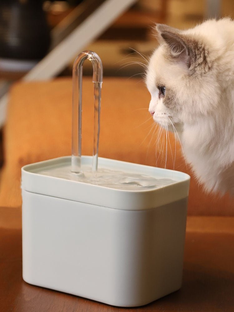 Electric Cat Water Fountain - Pet Care Linker