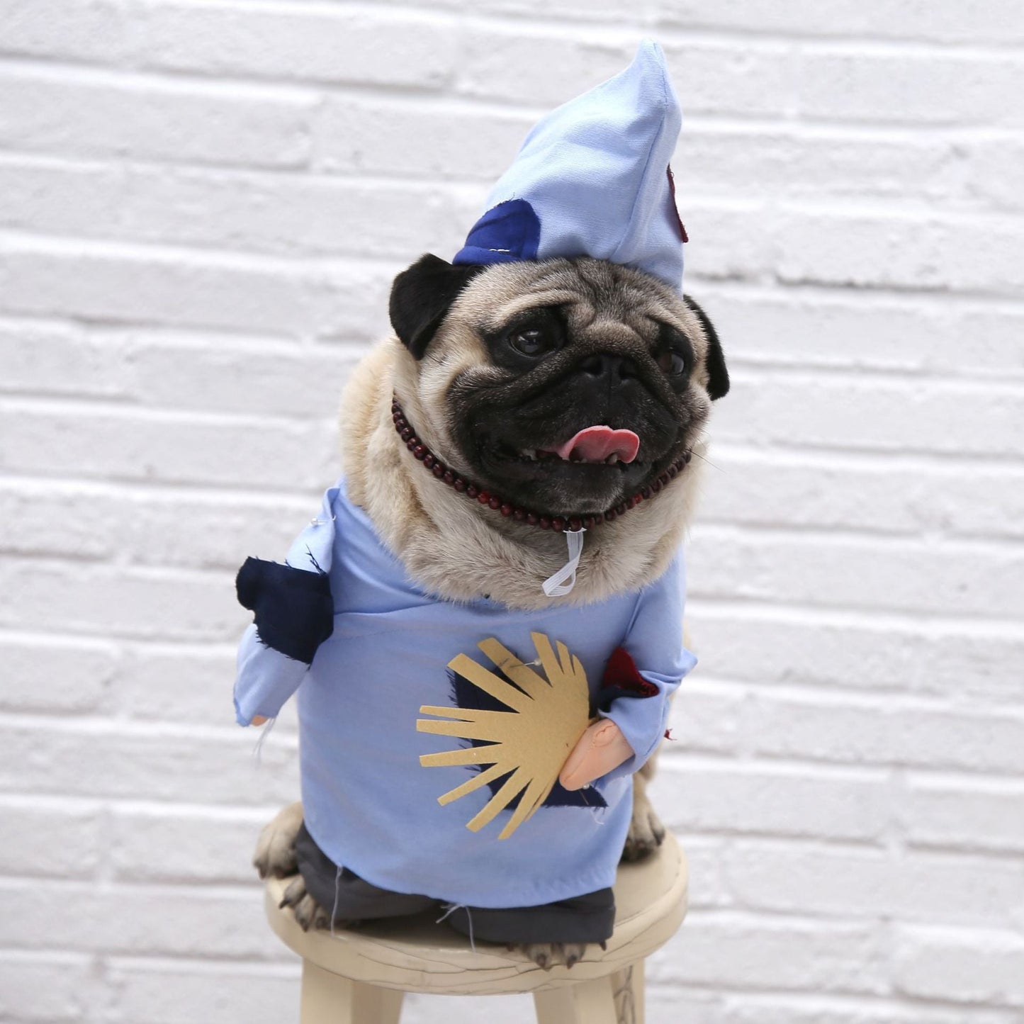 Spring and Autumn pet costume - Pet Care Linker