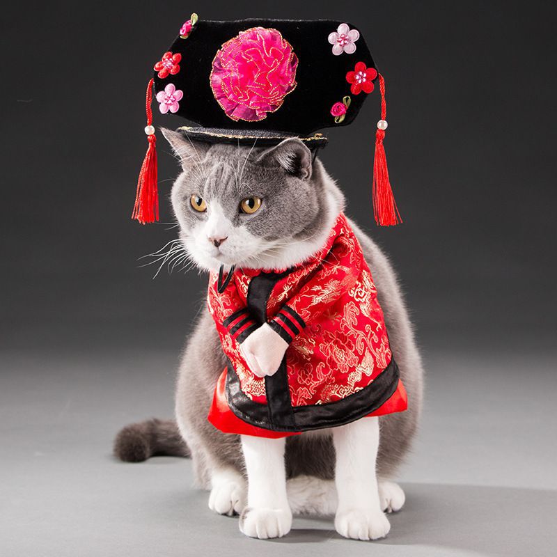 Spring and Autumn pet costume - Pet Care Linker