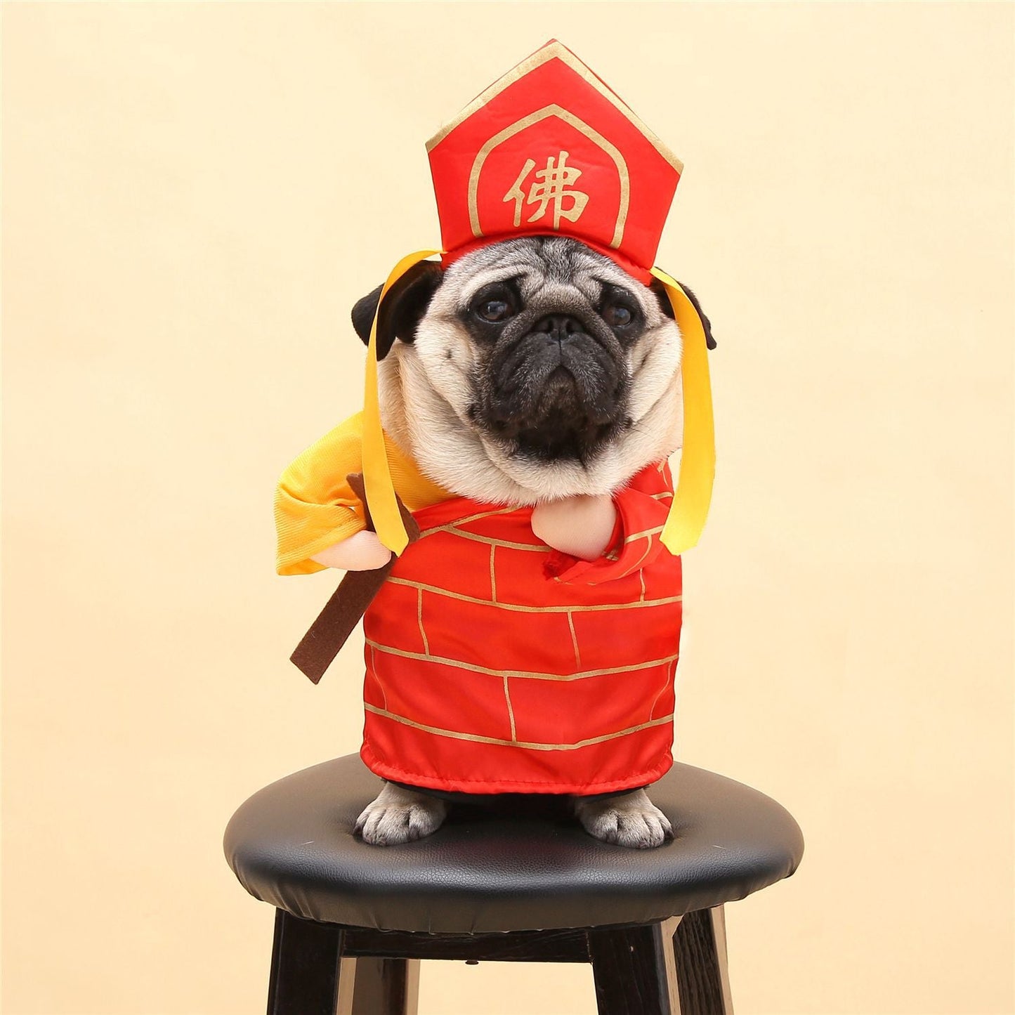 Spring and Autumn pet costume - Pet Care Linker