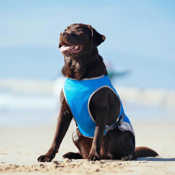 Summer Dog Cooling Vest - Pet Care Linker