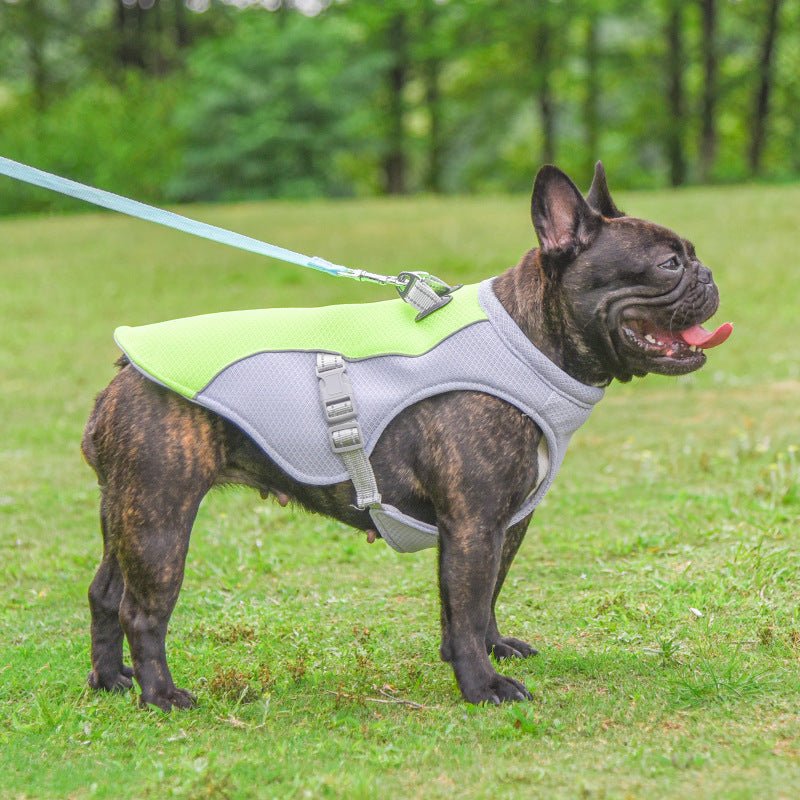 Summer Dog Cooling Vest - Pet Care Linker